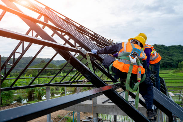 Best Metal Roofing Contractor  in Tallapoosa, GA