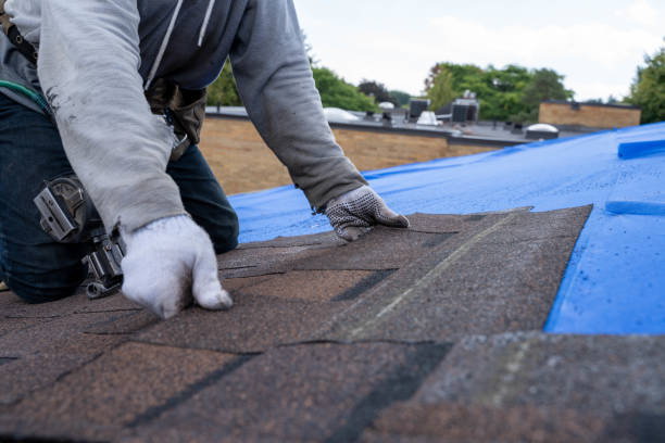 Professional Roofing Contractor in Tallapoosa, GA